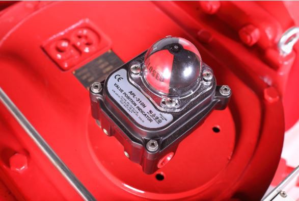 Pneumatic Actuators