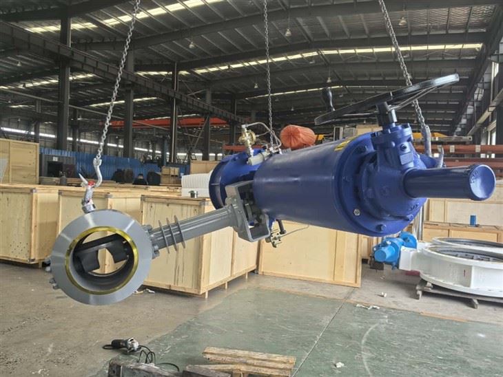 Five Eccentric Butterfly Valve