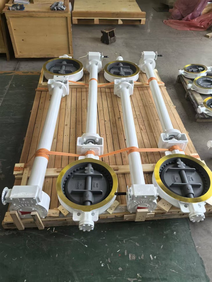 Five Offset Buttefly Valve